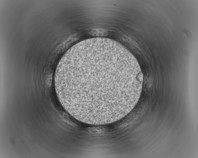 X0000112410652200909251457