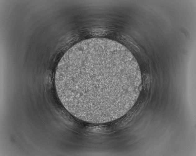 X0000112410655200909251457