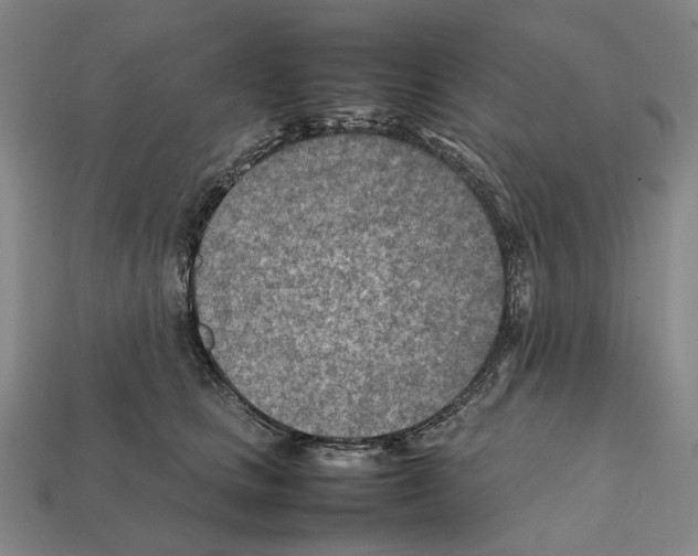 X0000112410661200909251457
