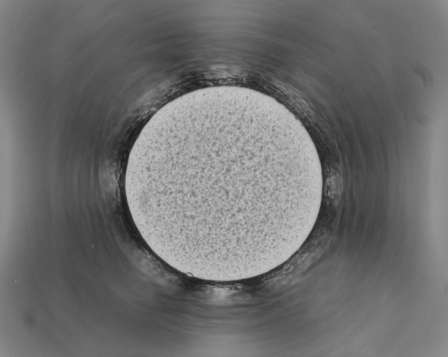 X0000112410662200909251457