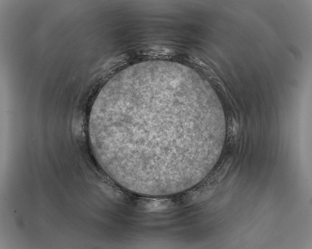 X0000112410663200909251457