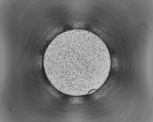 X0000112410664200909251457