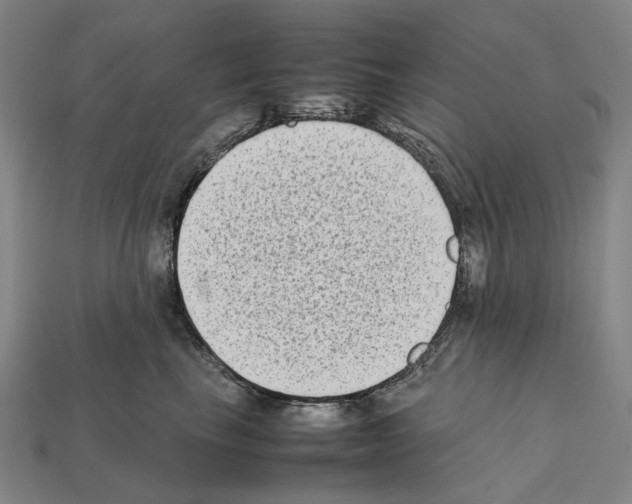 X0000112410665200909251457