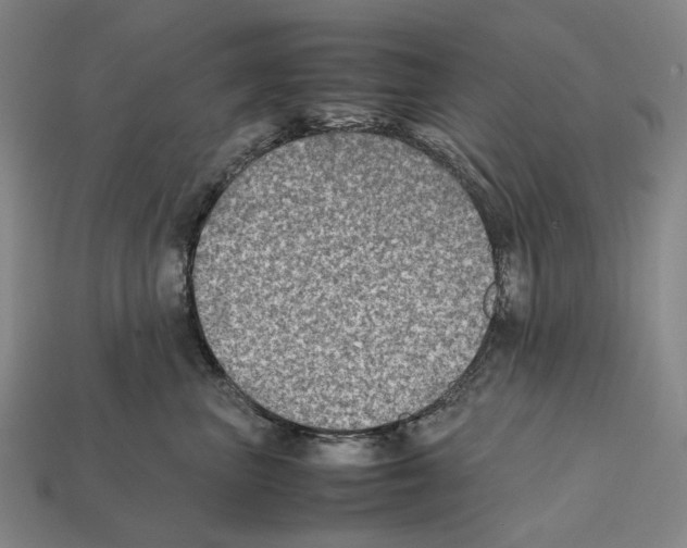 X0000112410667200909251457