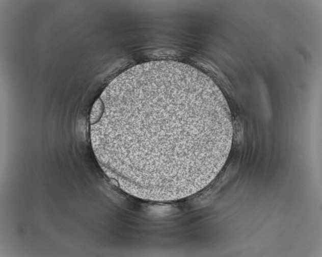 X0000112410669200909251457
