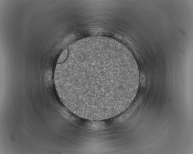 X0000112410670200909251457