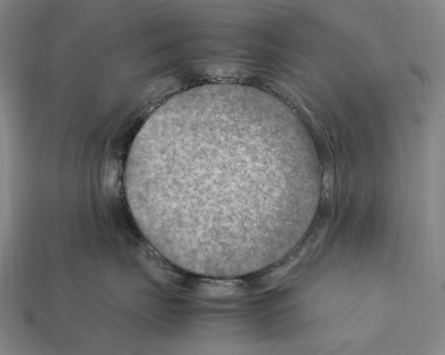X0000112410671200909251457