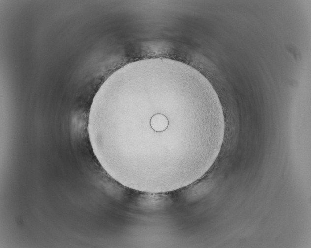 X0000112410672200909251457