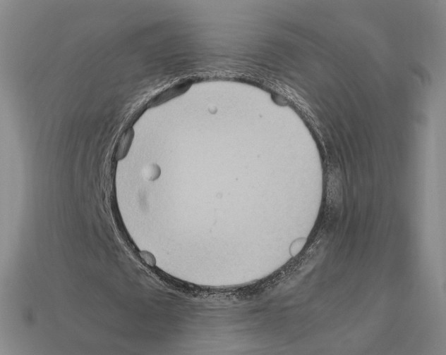 X0000112410673200909251456