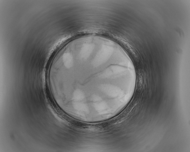 X0000112410678200909251456