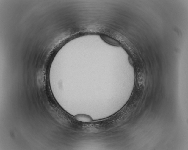 X0000112410680200909251456