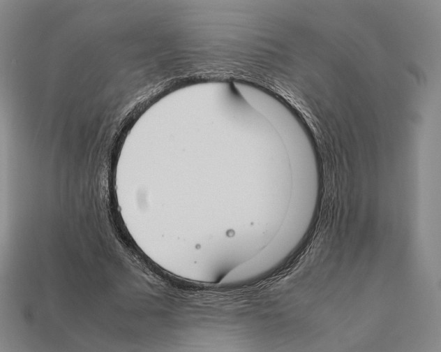 X0000112410681200909251456