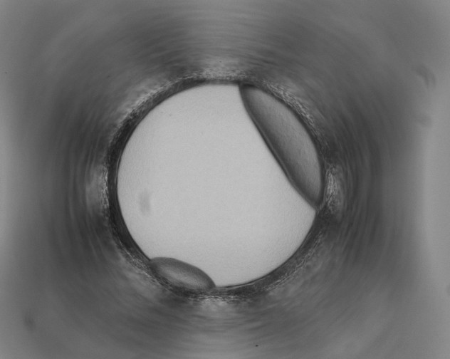 X0000112410684200909251456