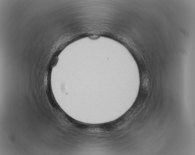 X0000112410685200909251456