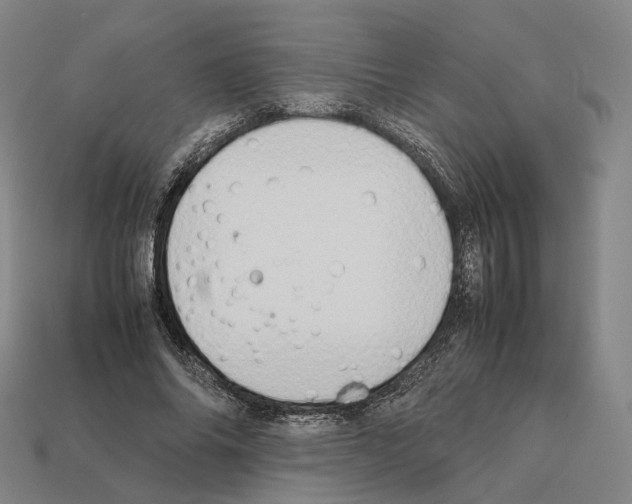X0000112410686200909251456