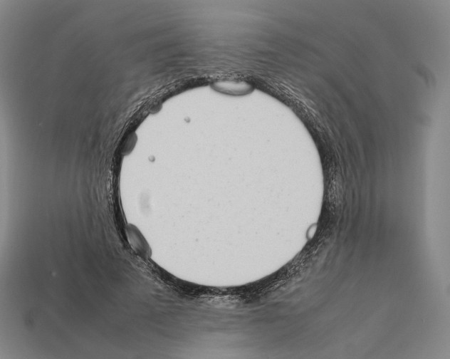 X0000112410689200909251456