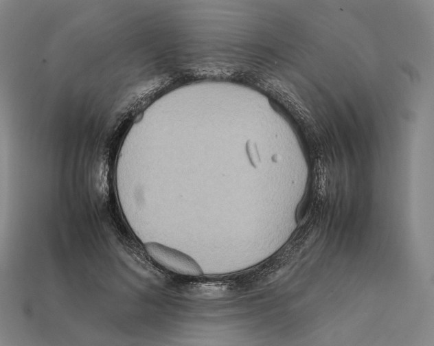 X0000112410692200909251456
