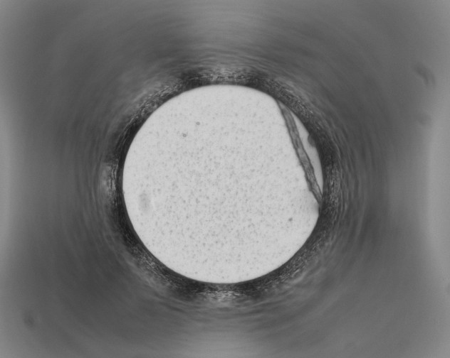 X0000112410695200909251456