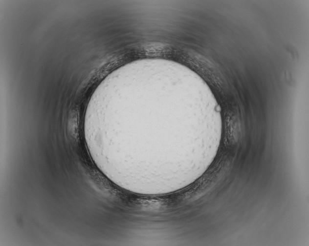 X0000112410698200909251456