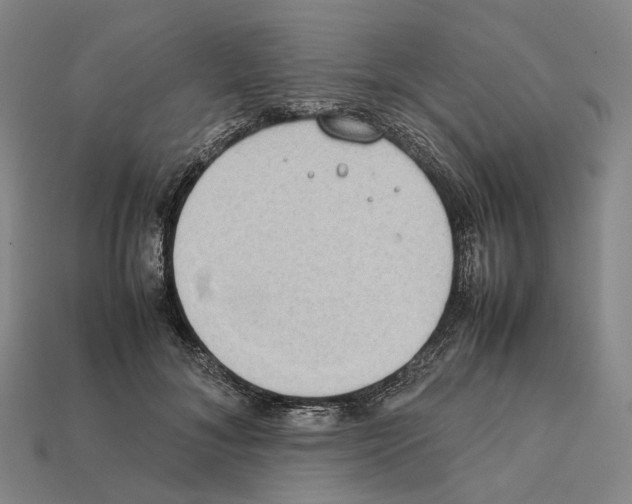 X0000112410700200909251456