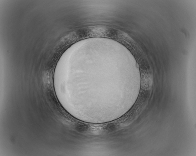 X0000112410701200909251456