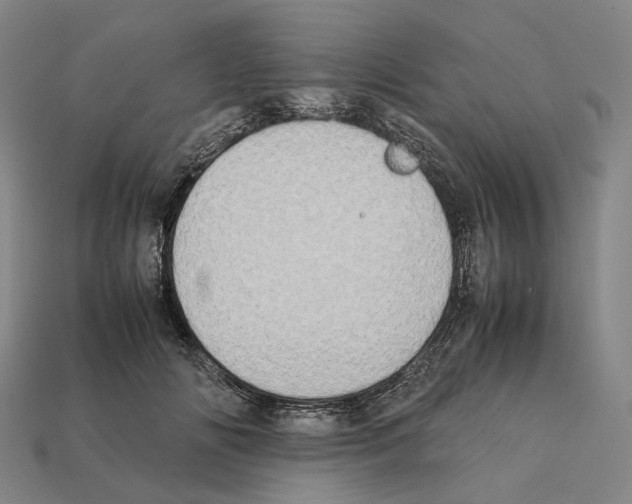 X0000112410702200909251456