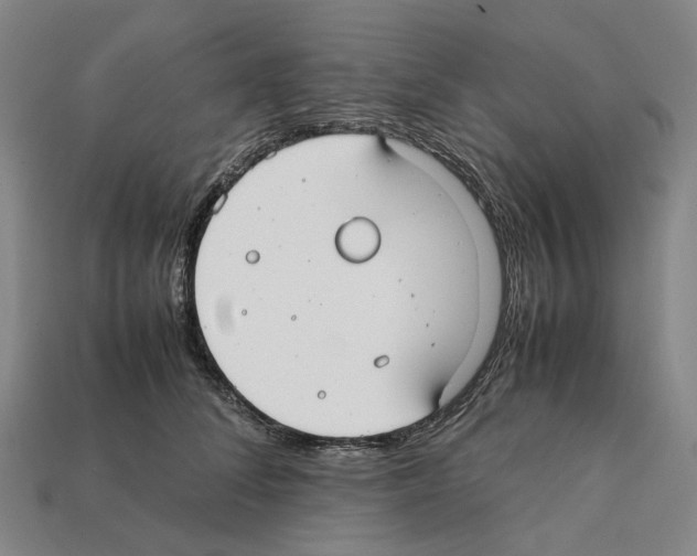X0000112410708200909251456