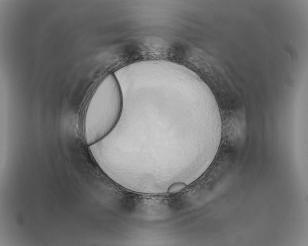 X0000112410709200909251456