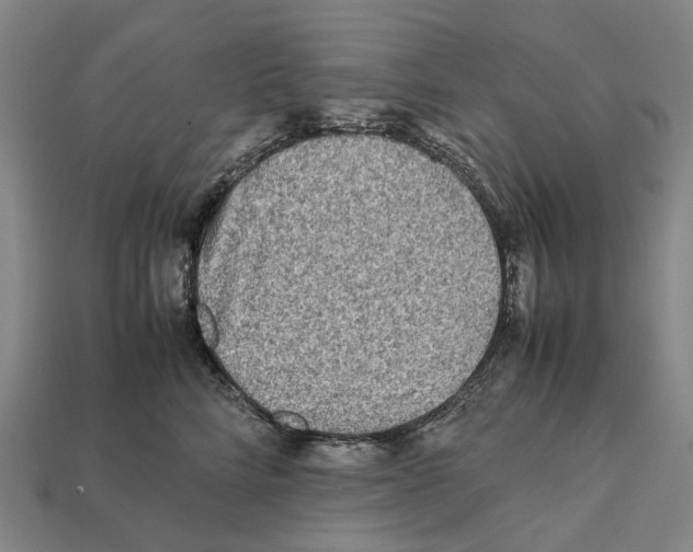 X0000112410712200909251456