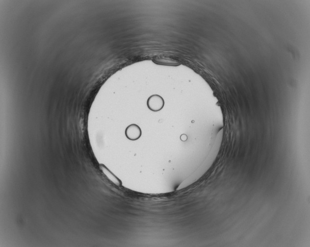 X0000112410716200909251456