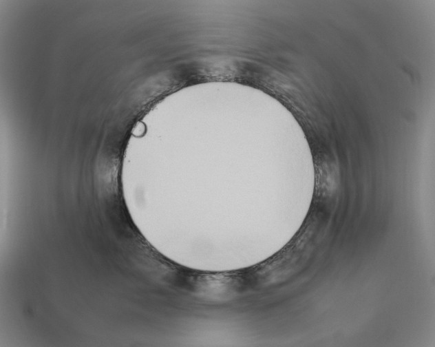 X0000112410717200909251456