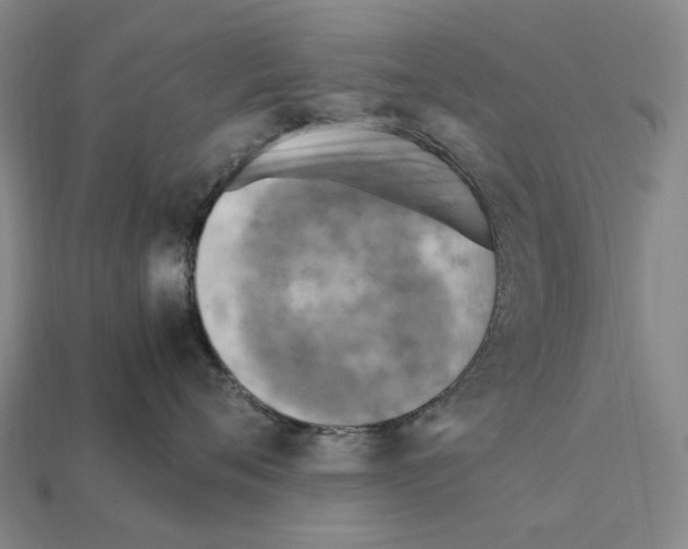 X0000112410720200909251456