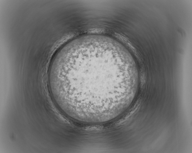 X0000112410721200909251455