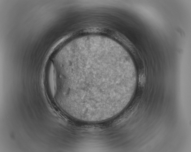 X0000112410724200909251455