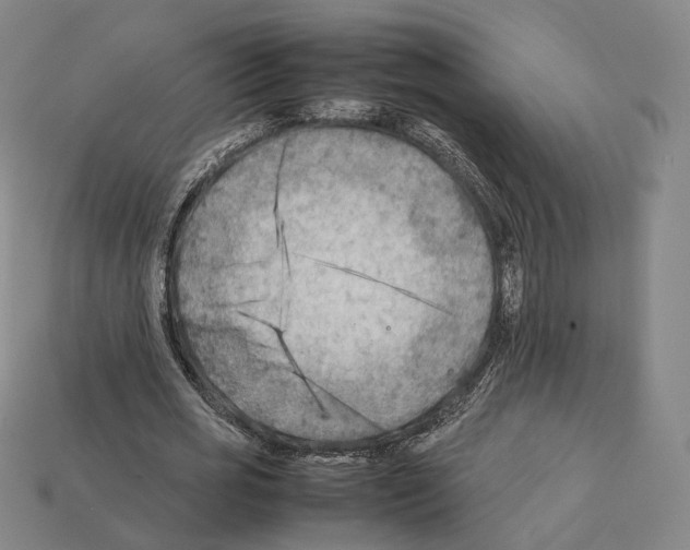 X0000112410725200909251455