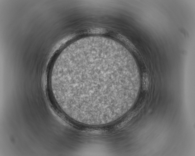 X0000112410726200909251455
