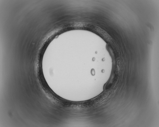 X0000112410728200909251455