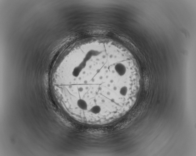 X0000112410729200909251455