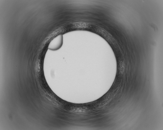 X0000112410731200909251455