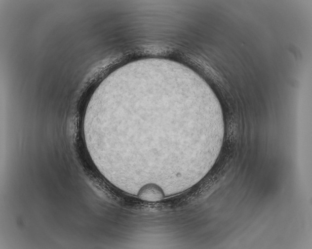 X0000112410736200909251455