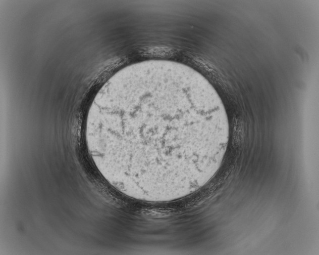 X0000112410739200909251455