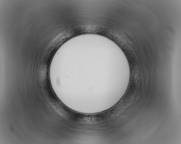 X0000112410744200909251455