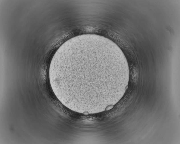 X0000112410746200909251455