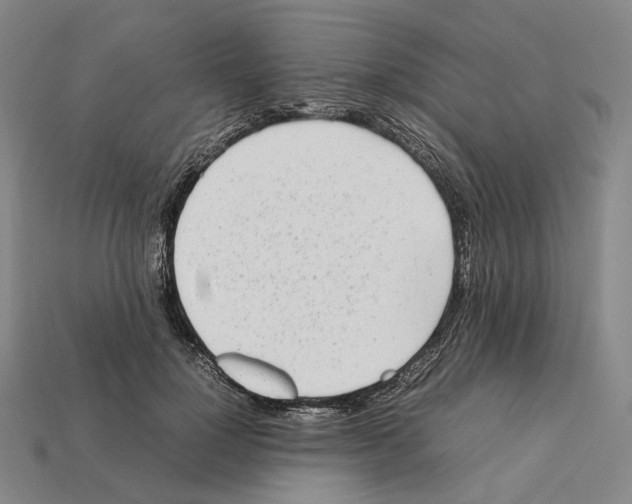X0000112410748200909251455