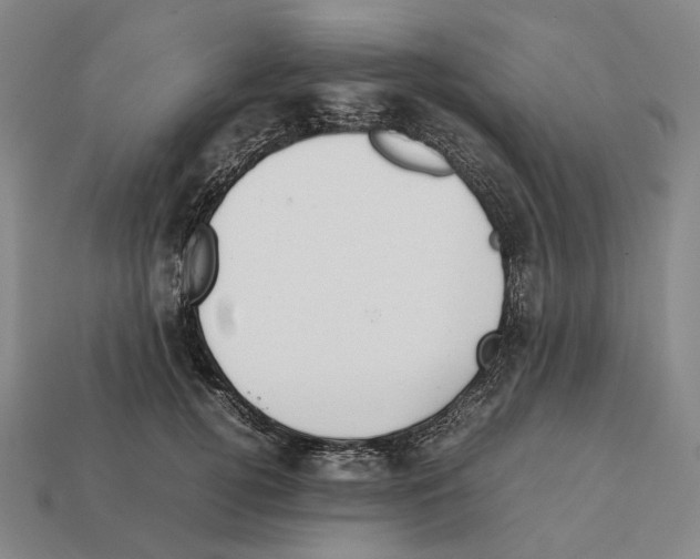 X0000112410752200909251455