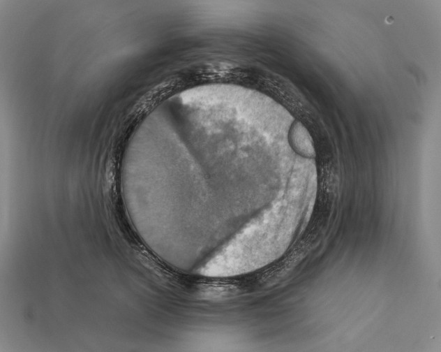 X0000112410754200909251455