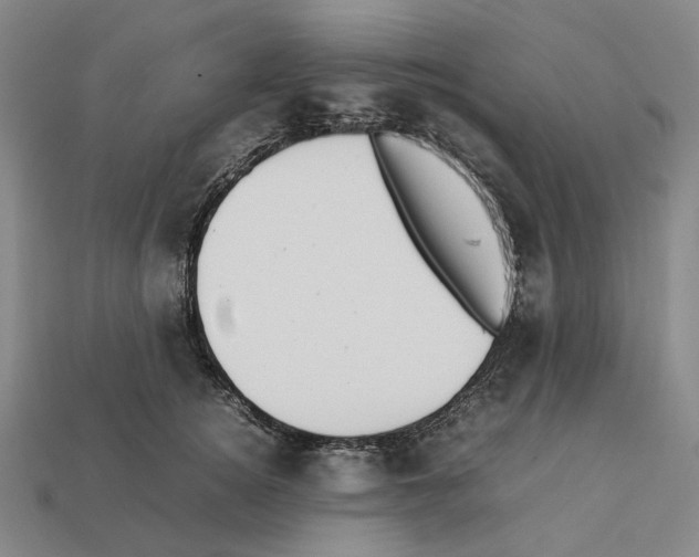 X0000112410756200909251455