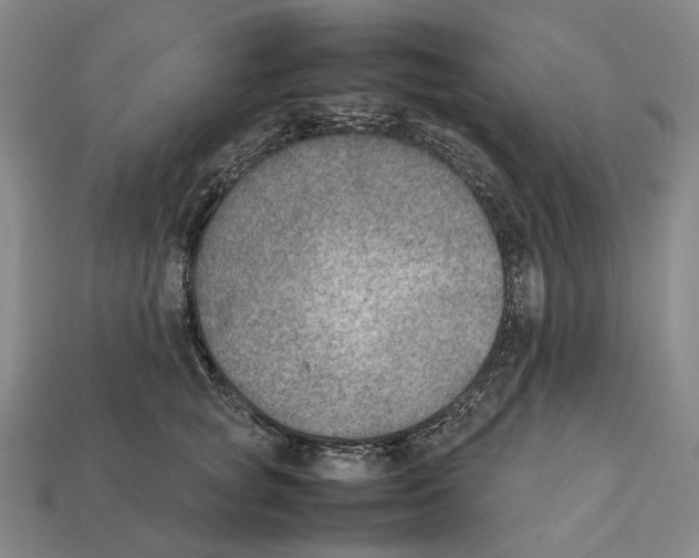 X0000112410757200909251455