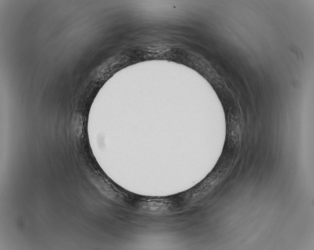 X0000112410758200909251455