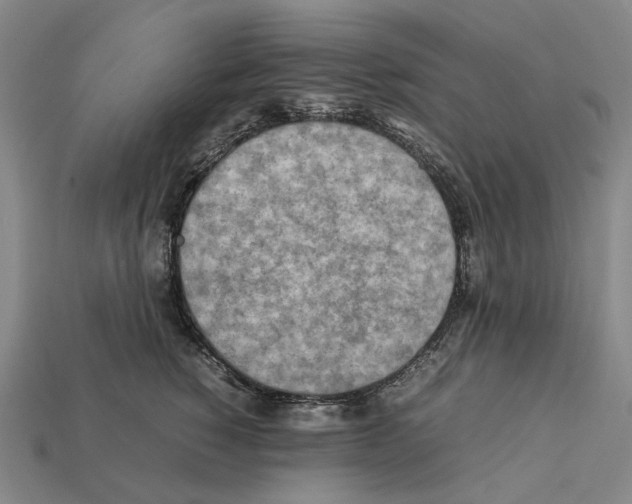 X0000112410760200909251455